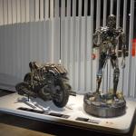 Peterson_073 (July 28, 2019)